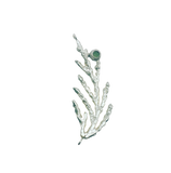 leaf pendant